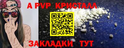 прущие грибы Мариинск