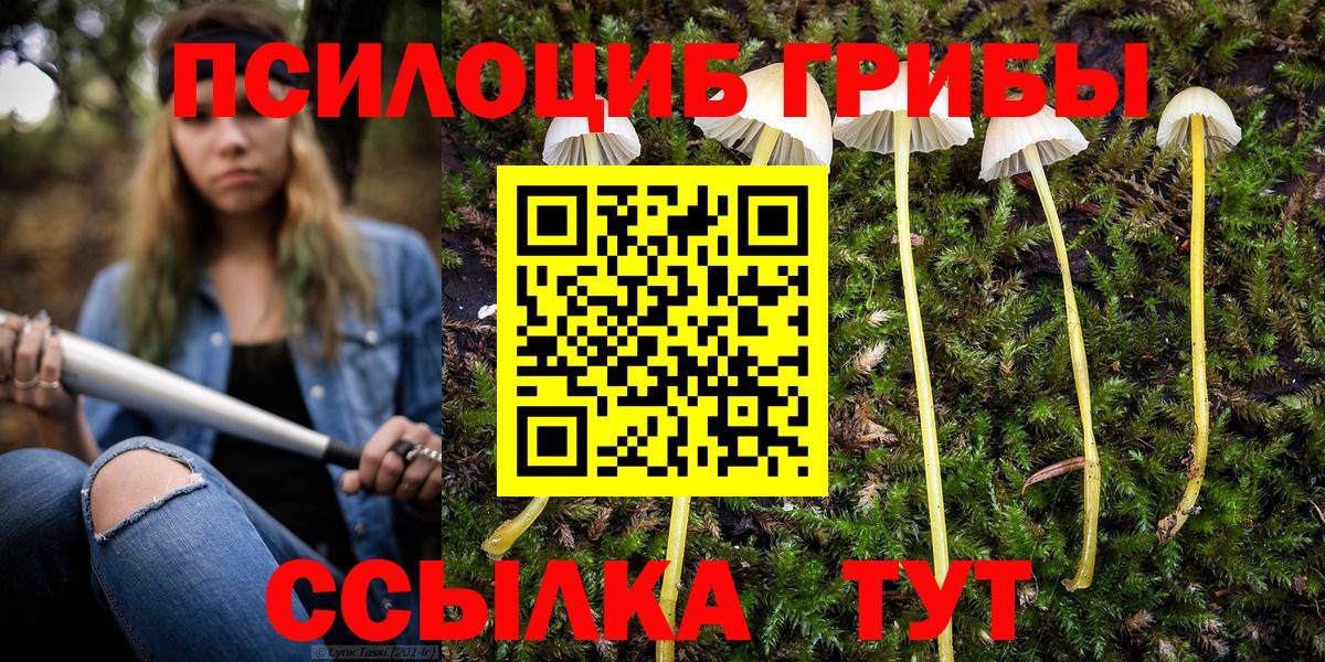 Галлюциногенные грибы мухоморы  Галлюциногенные грибы GOLDEN TEACHER  Вход с VPN  Стрежевой 