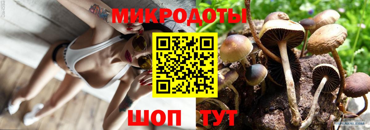 Галлюциногенные грибы Cubensis Стрежевой